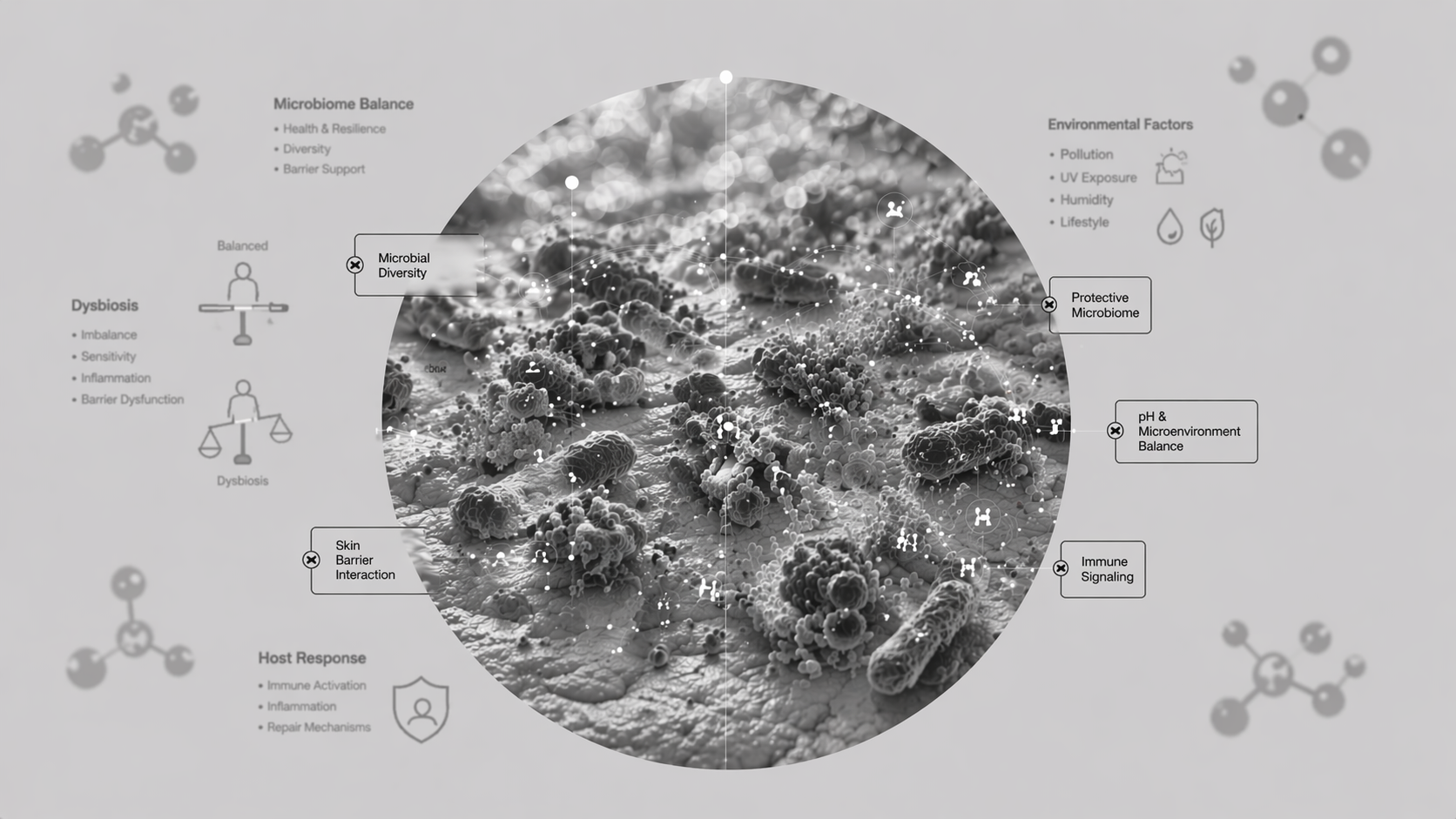 The Skin Microbiome in Focus – From Barrier to Balance